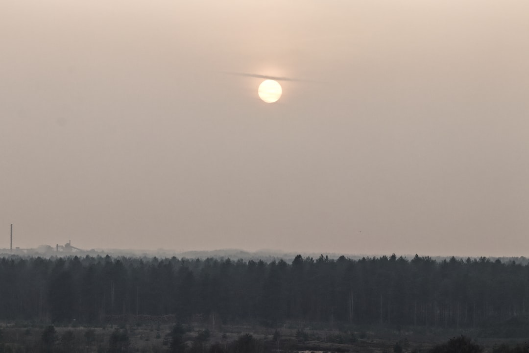Sun setting over a dense forest landscape