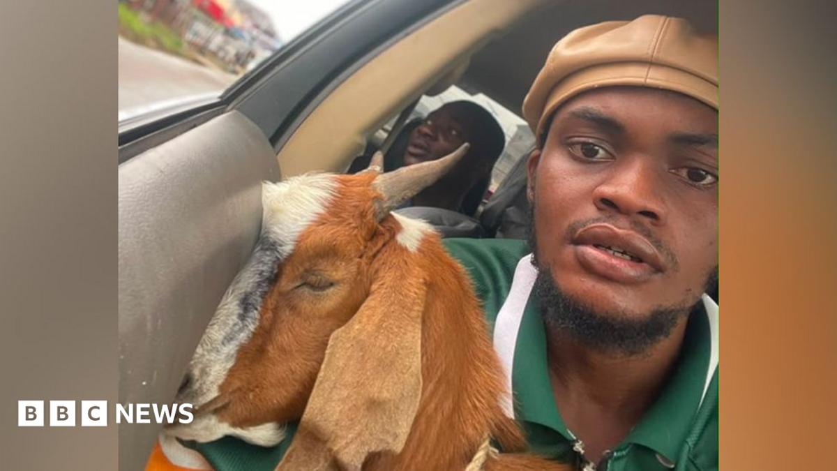 Goat given as graduation gift goes viral