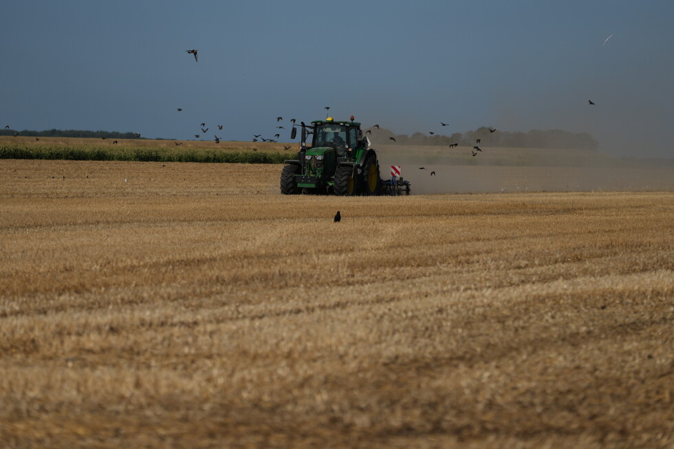 European drought devastates crops from Dutch potatoes to Bosnian corn
