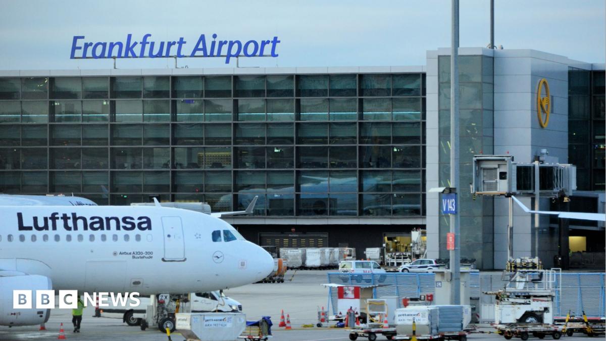 Frankfurt airport worker dies of malaria after mosquito arrives on plane