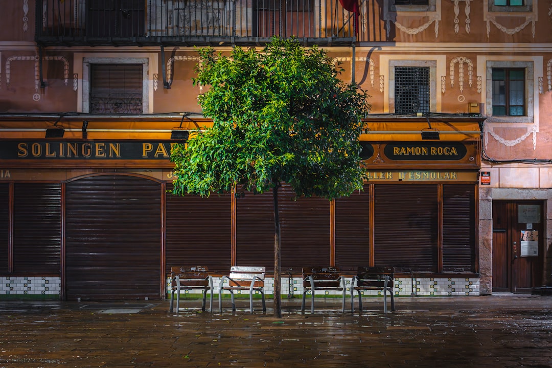 a group of tables sitting under a tree in front of a building