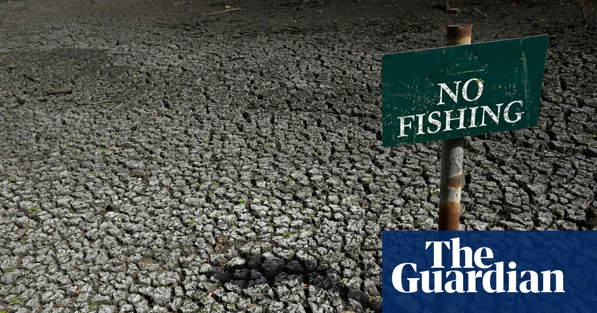 Labour MPs fear party has gone soft on climate crisis