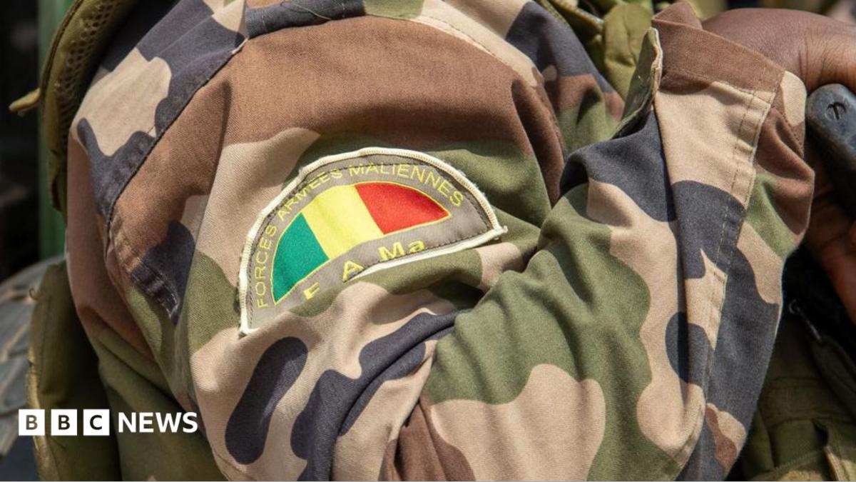 Мали әскері лаңкестердің шабуылын тойтарып, ондаған содырды жойды