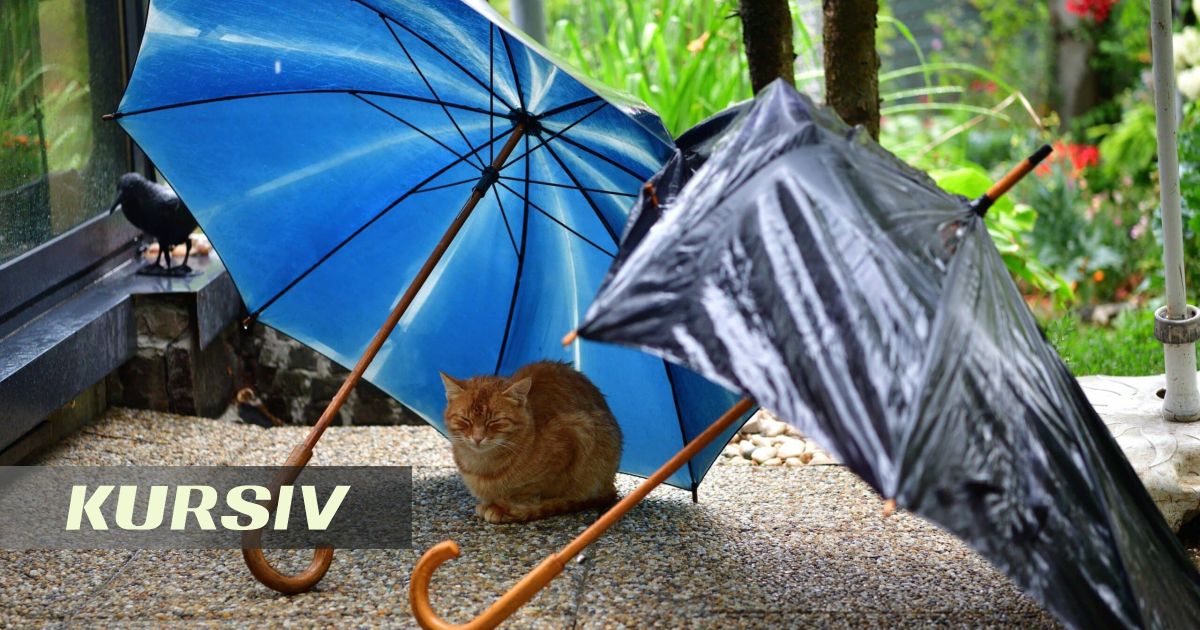 Kazakhstan Warned of Heavy Rain, Hail and Strong Wind on August 6