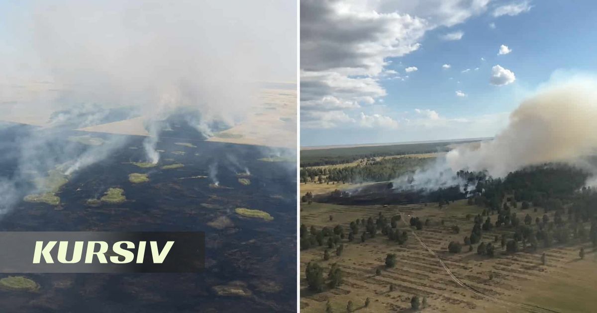 47 Forest Fires Recorded in Kazakhstan in One Week