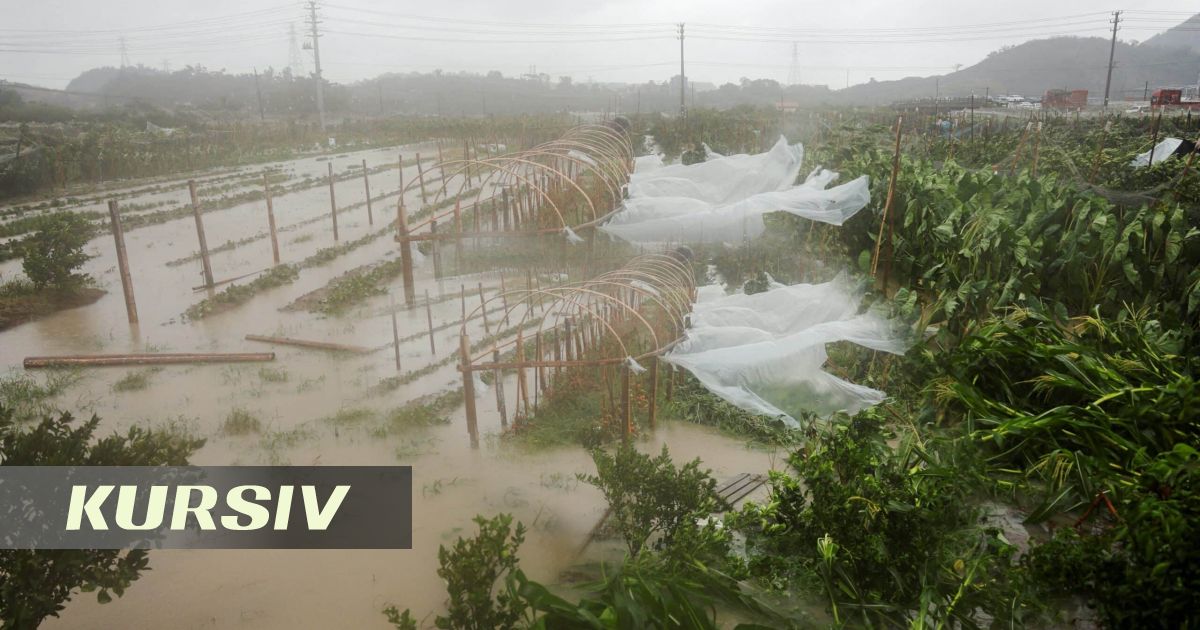 China evacuates over 420,000 people as super typhoon Dolphin approaches