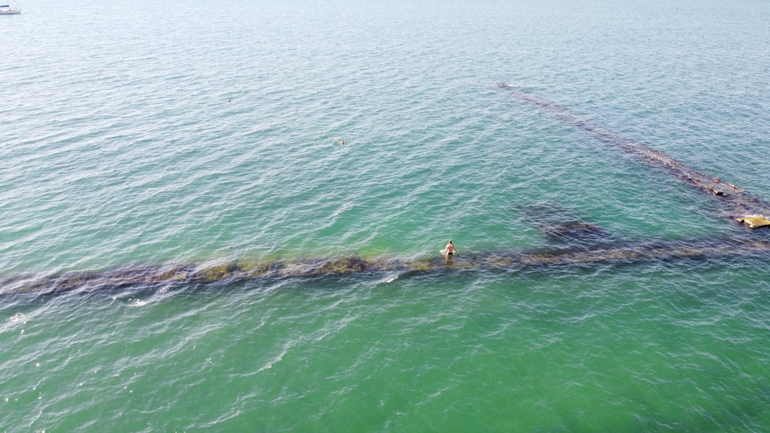 a person on a rope in the water