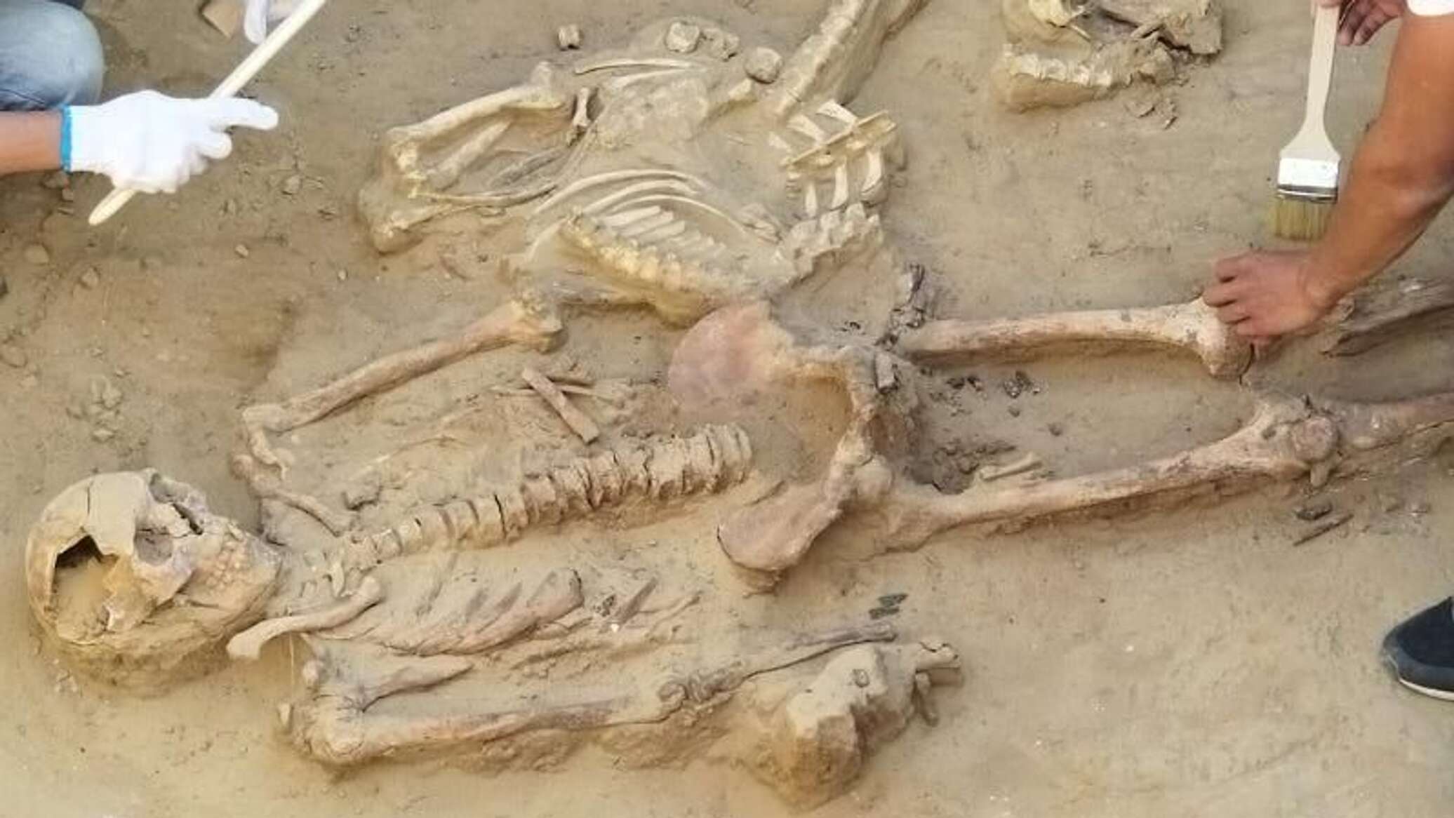 В Семее на стройплощадке обнаружены человеческие кости