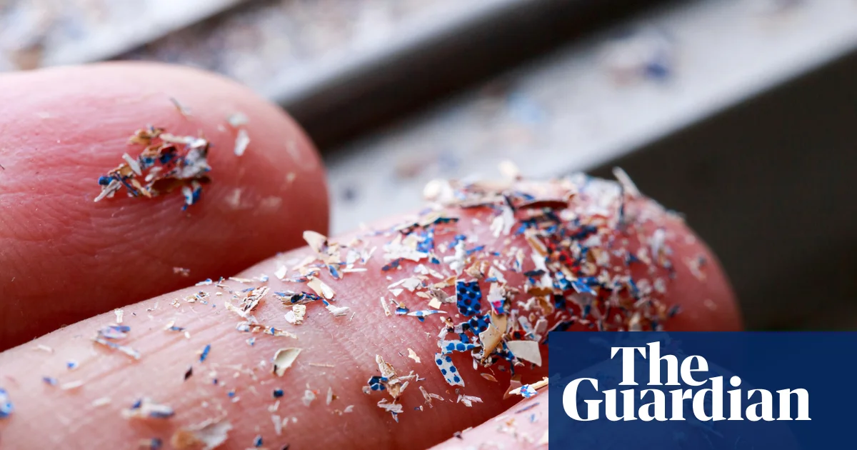 Rising microplastics in soil a threat to UK food security, MPs and campaigners say