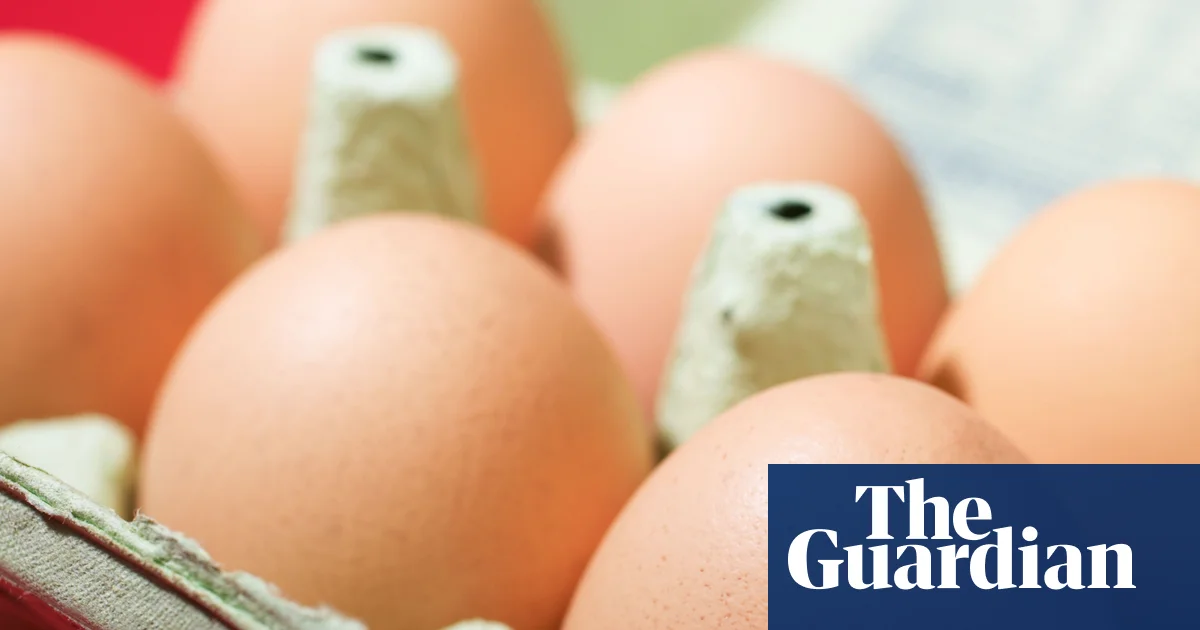 One dead, over 200 ill in UK salmonella outbreak linked to imported eggs