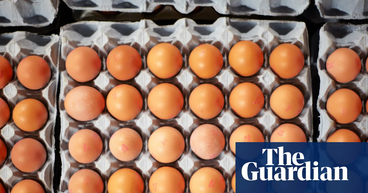 UK Salmonella Cases May Rise Until Source Found