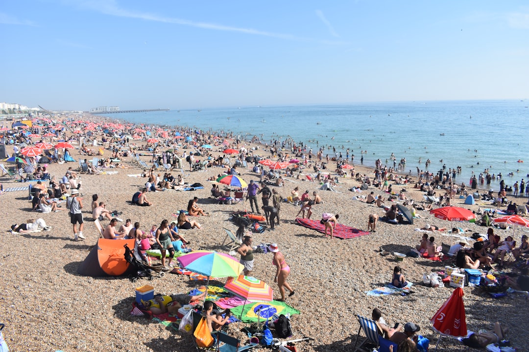 a large group of people on a beach