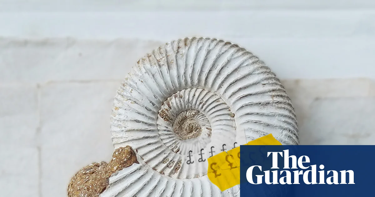 One of UK's best fossil collections sold overseas in 'loss to the nation'