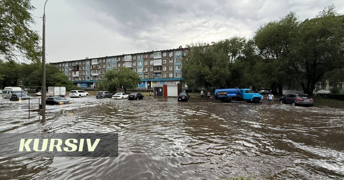ВКО-да қатты жел электр желілерін зақымдап, ондаған ағашты құлатты