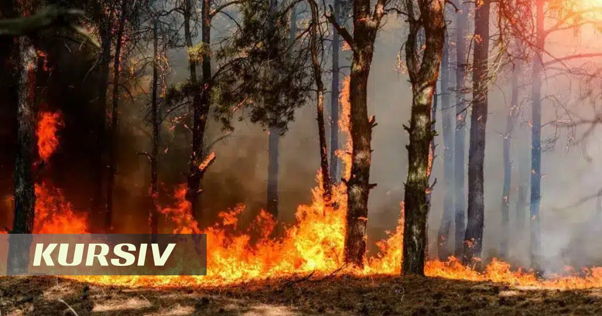 Major fire engulfs Tarbagatai National Park in Abai Region