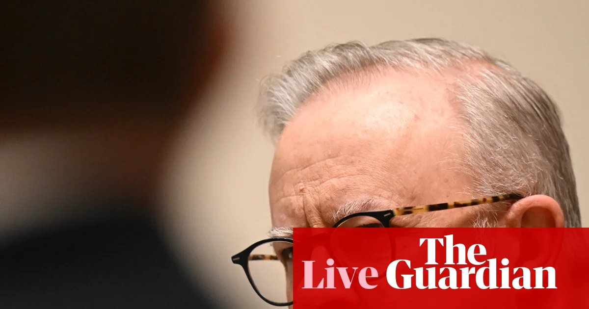 Albanese to meet Apple's Tim Cook in US after social media reform; Burke defends immigration policy
