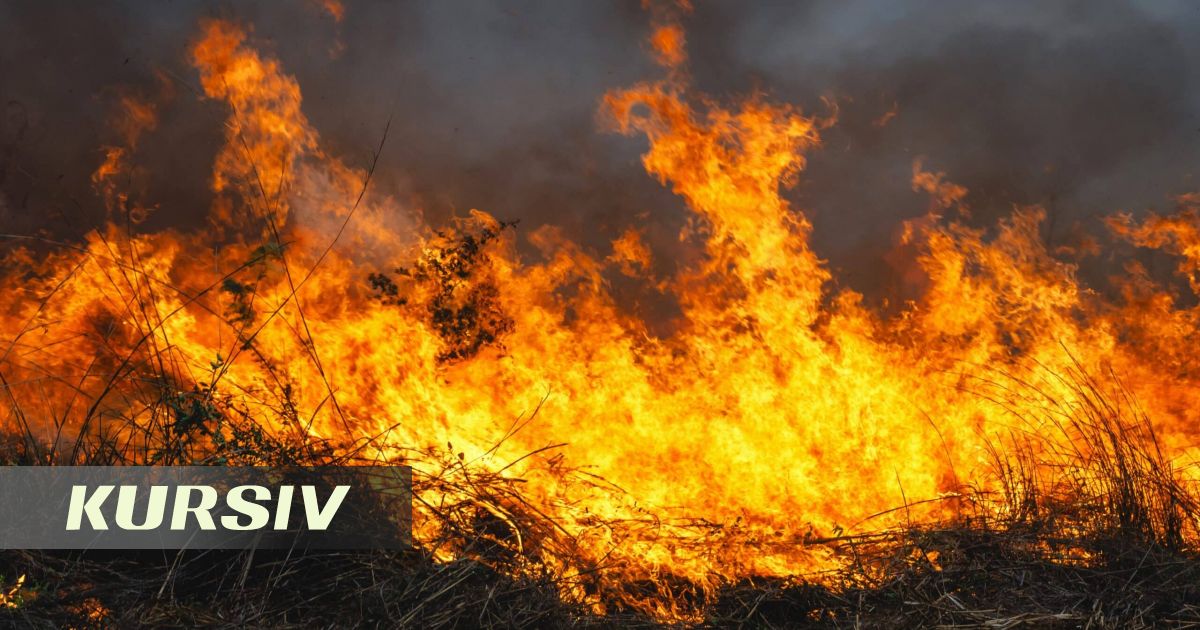 В Алматинской области рядом с Или горит сухостой
