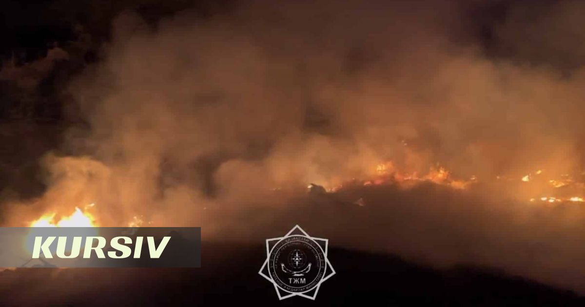 Алматы облысында Көксай ауылы маңындағы свалкада өрт шықты