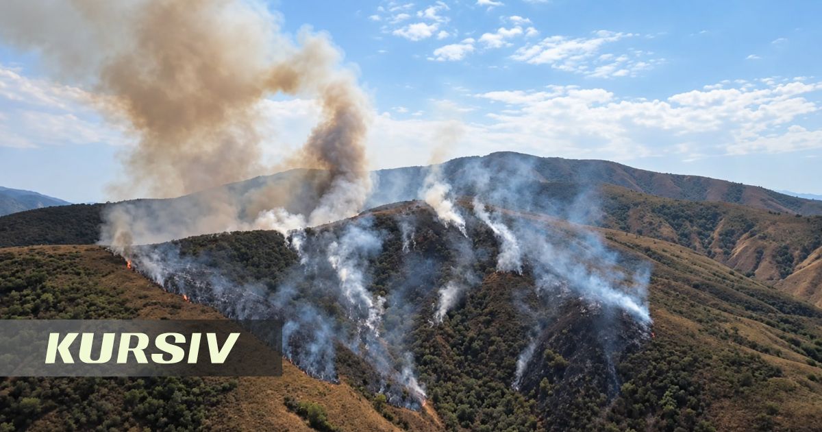 Алматы облысының тауларында 13 гектардағы өрт оқшауланды