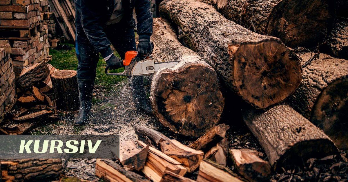 Almaty Proposes International Tree Pruning Standards
