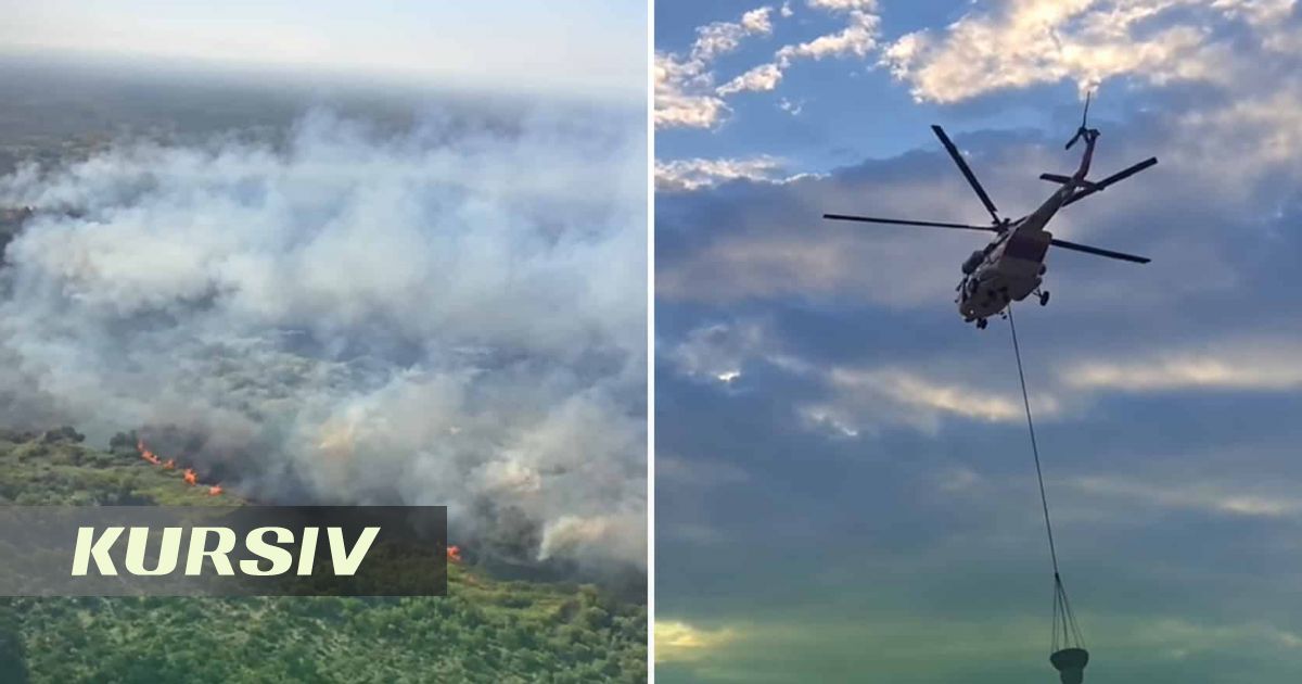 Six forest fires broke out in five regions of Kazakhstan in a day