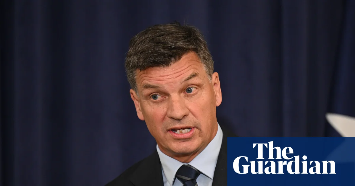 Angus Taylor distances himself from Andrew Bragg's proposal to let first home buyers use super