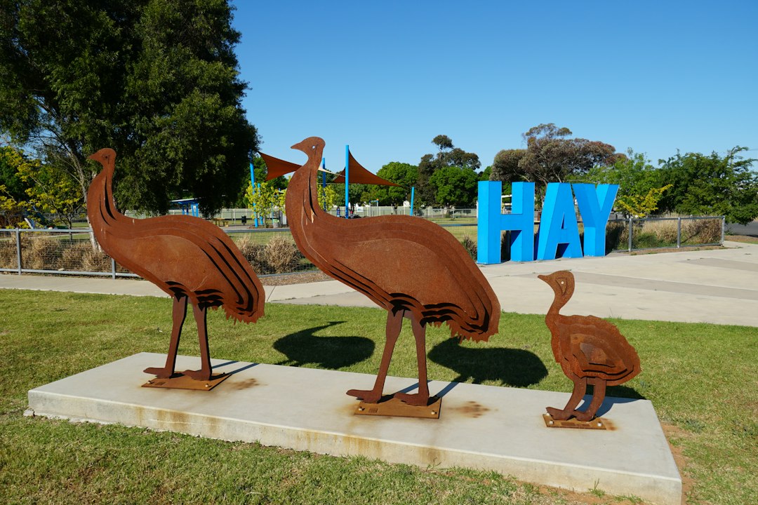 Rusty emu sculptures stand in hay
