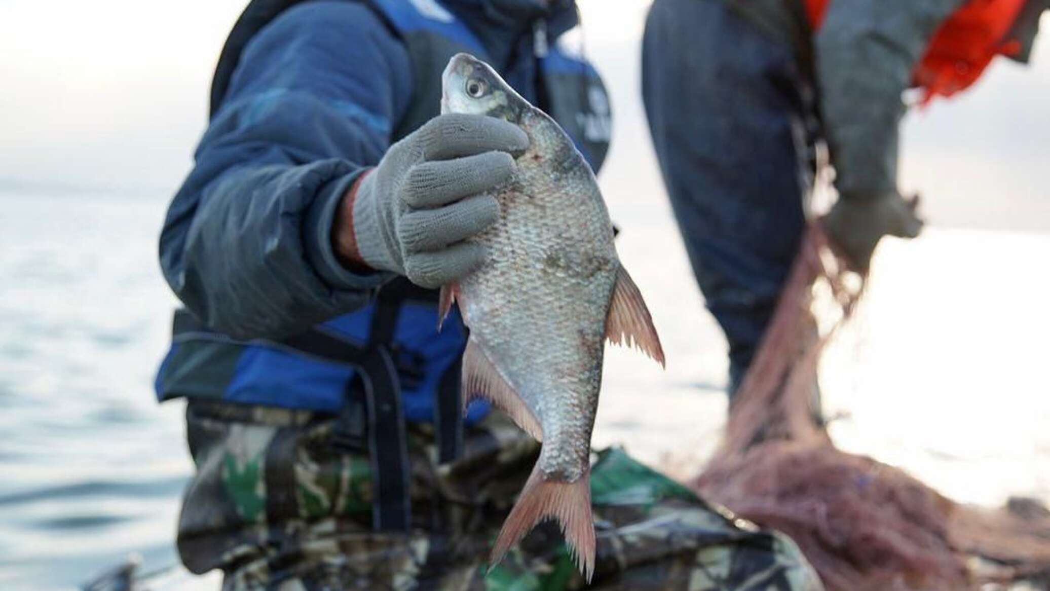 Fish consumption in Kazakhstan up 29% over decade