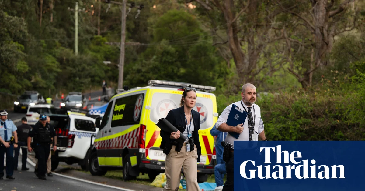 Blue Mountains stabbing: mother accused of attacking three children, one dead