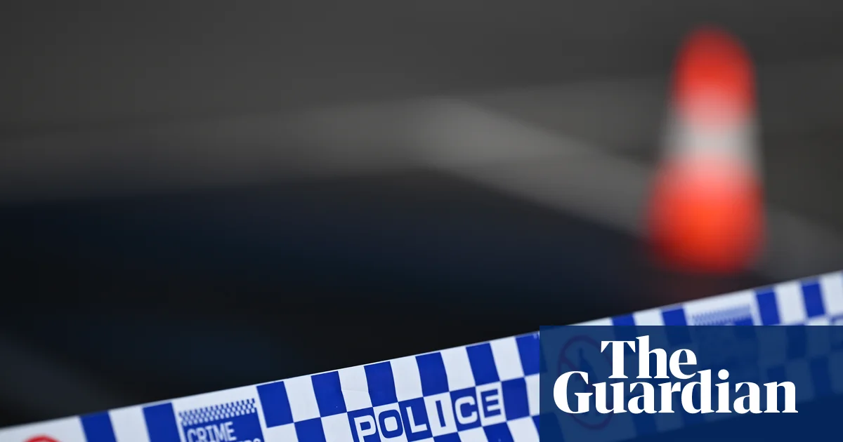 Man charged with stabbing murder of 90-year-old woman in Bondi Beach amid spate of alleged domestic violence killings