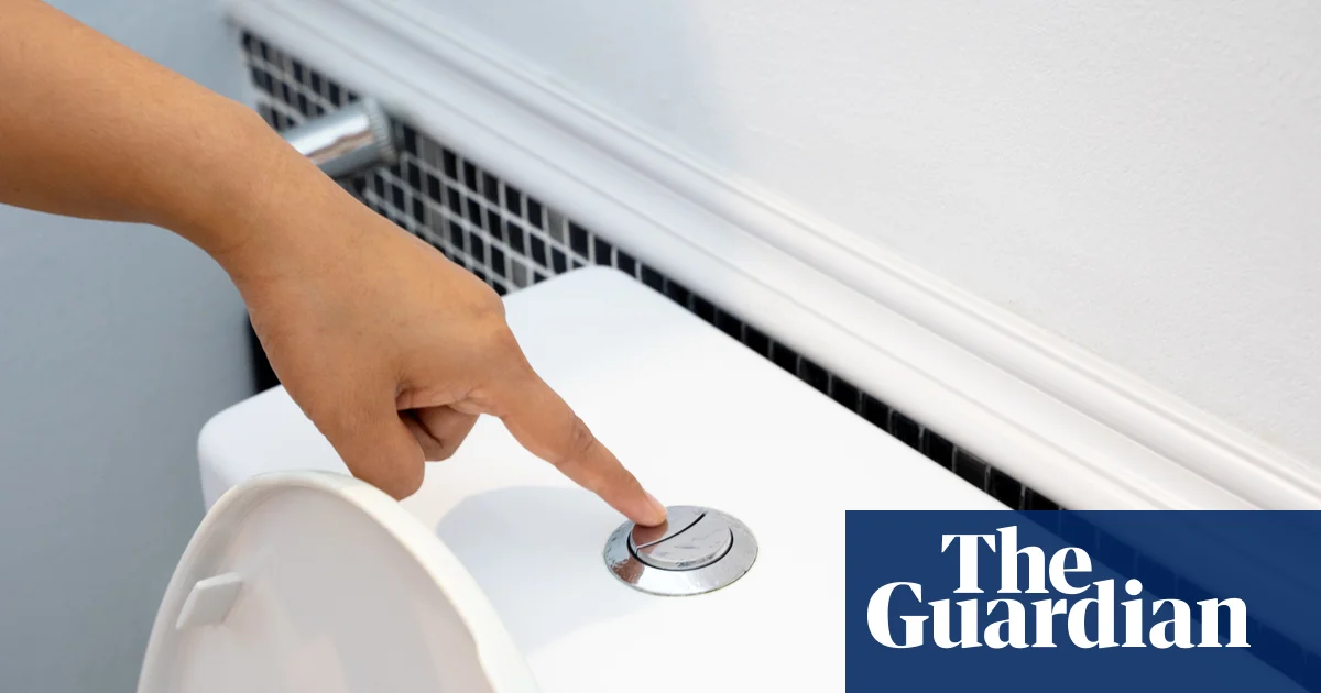 Flushing toilet releases 'plume' of pathogens — closing lid won't stop escape