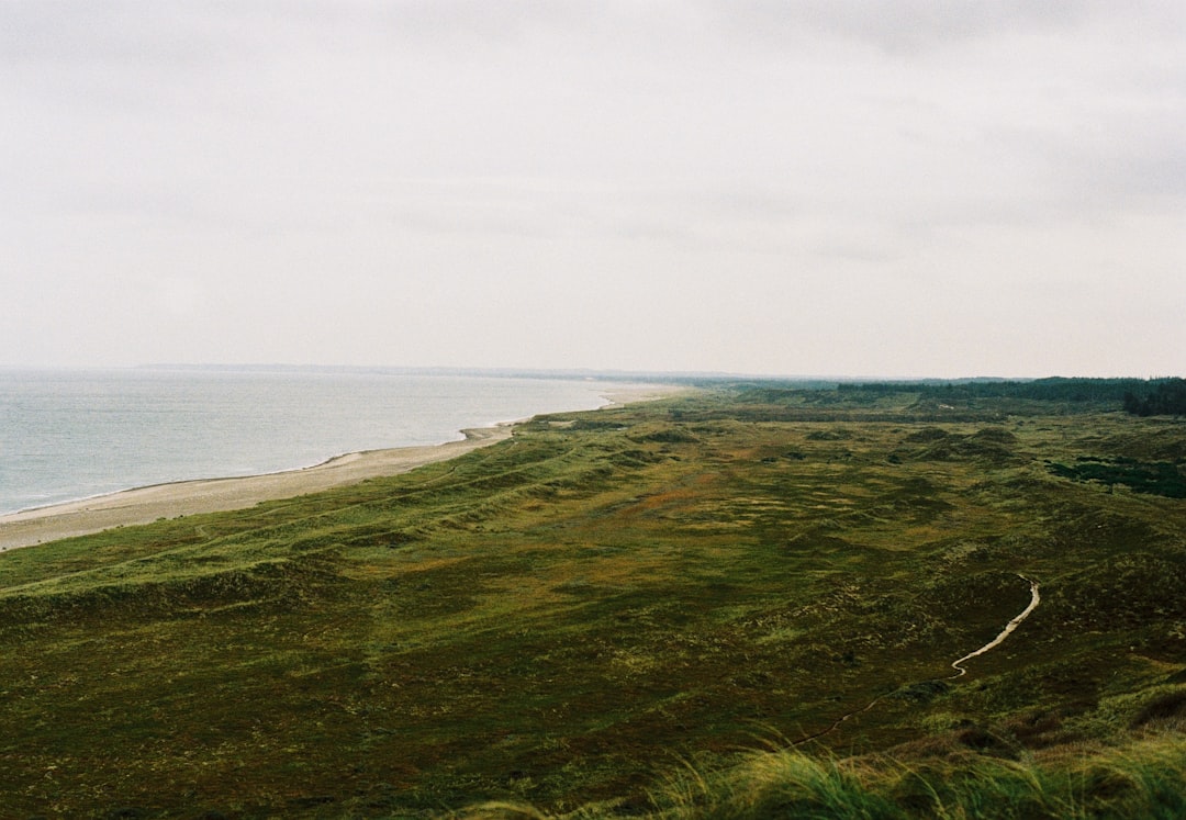 A grassy hill with a beach in the background