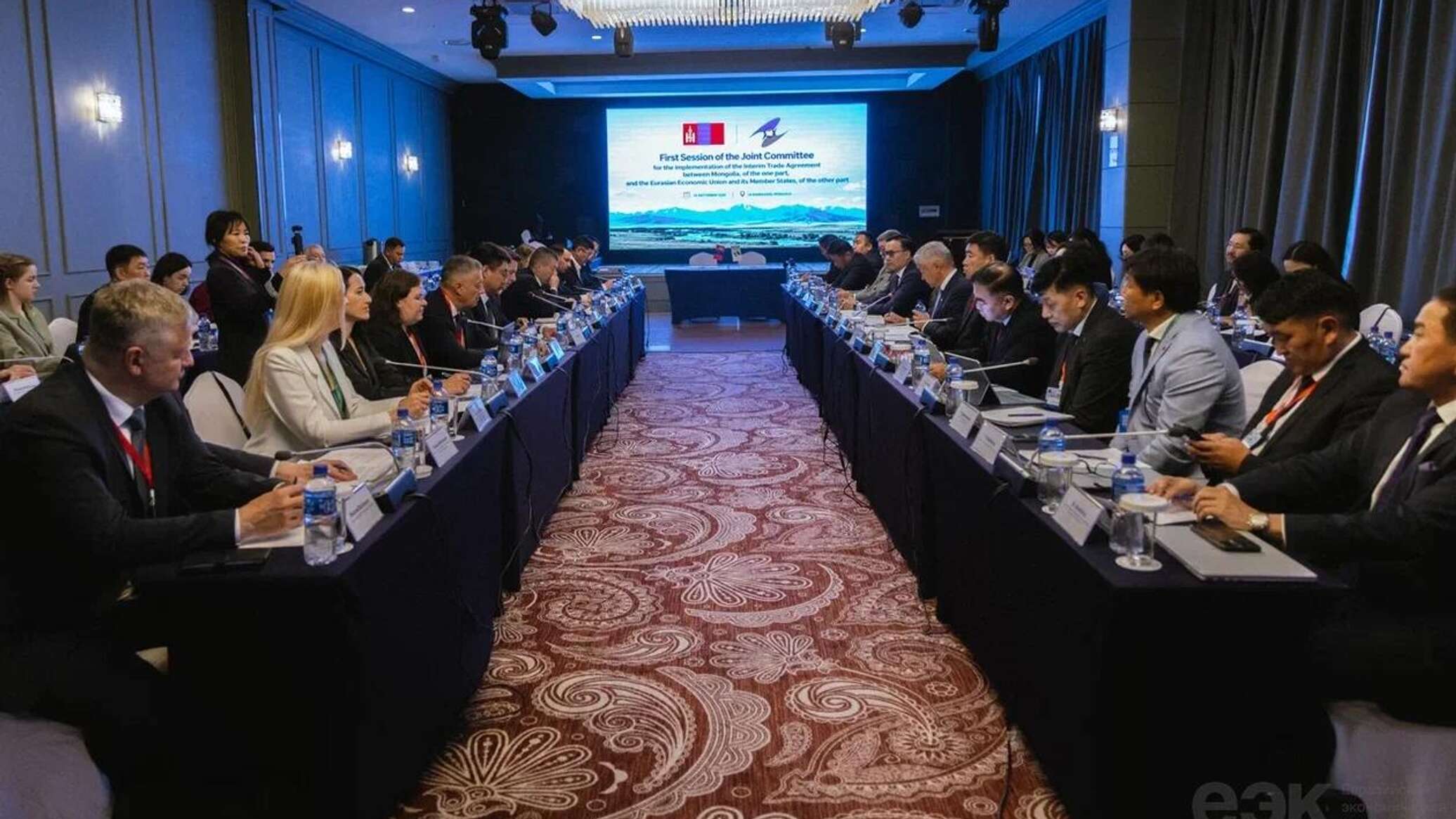 EAEU and Mongolia set meat supply volumes for 2027