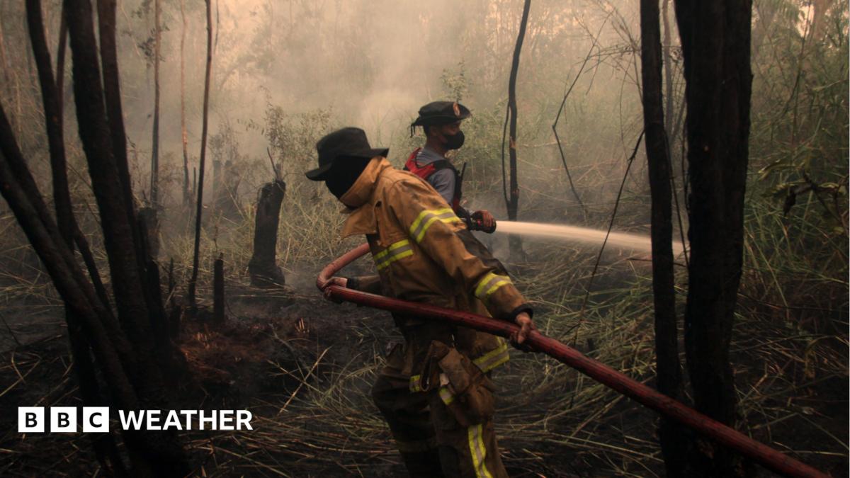 El Niño becomes strongest on record weeks before expected peak