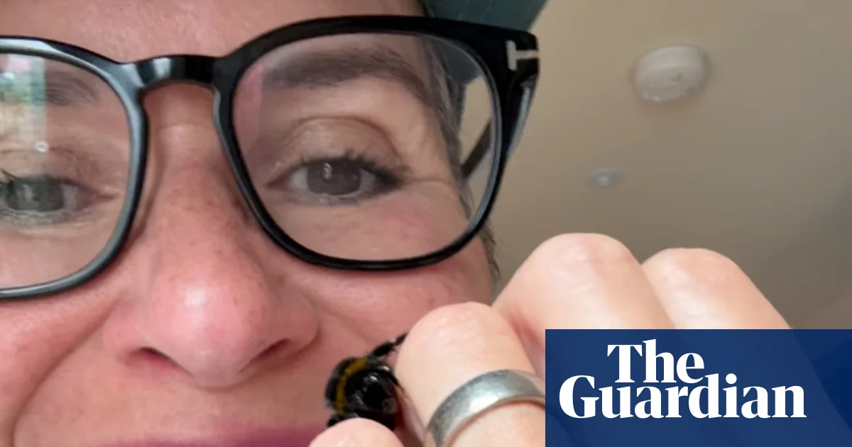 Woman who rescued a bee shares her story