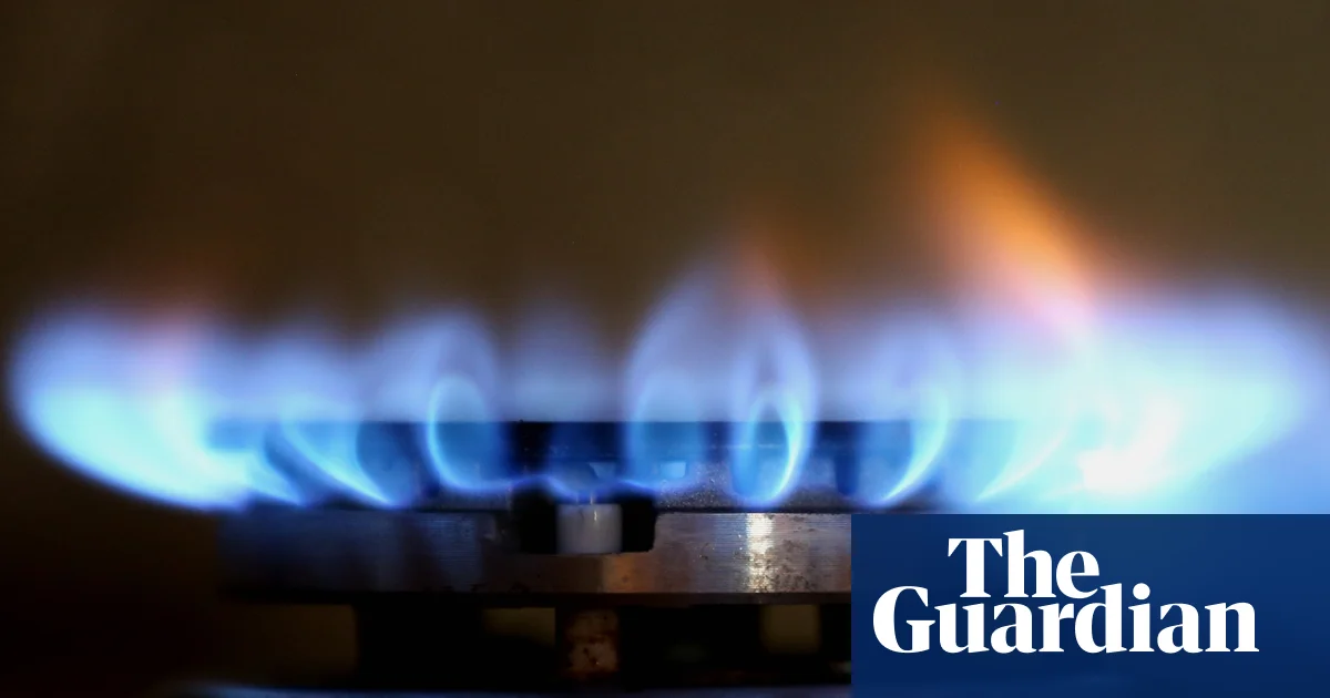 Gas lobby 'scare campaign' urges Victoria to scrap ban in new homes, leaked documents show
