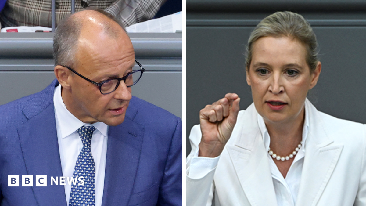 Мерц напал на AfD в бурных дебатах после победы ультраправых на выборах