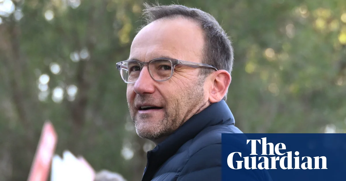 Senior Greens figures say new leadership must stop Labor approving fossil fuel projects ‘by whatever means’