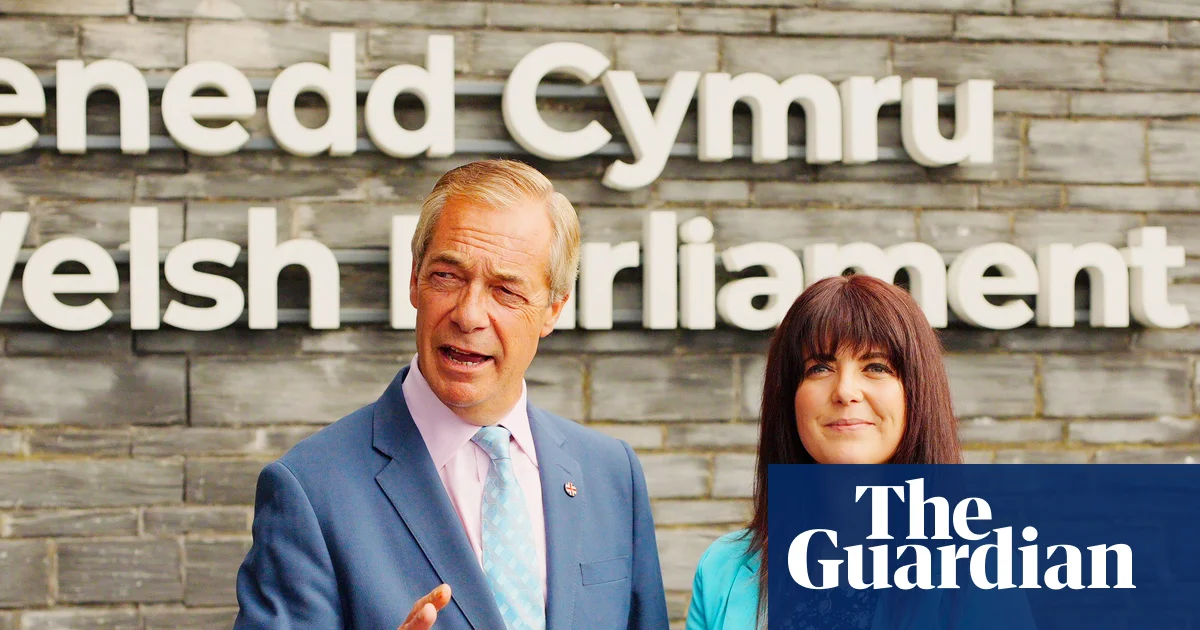 Хелен Дженнер стала новым лидером Reform UK в Уэльсе после ареста Дэна Томаса