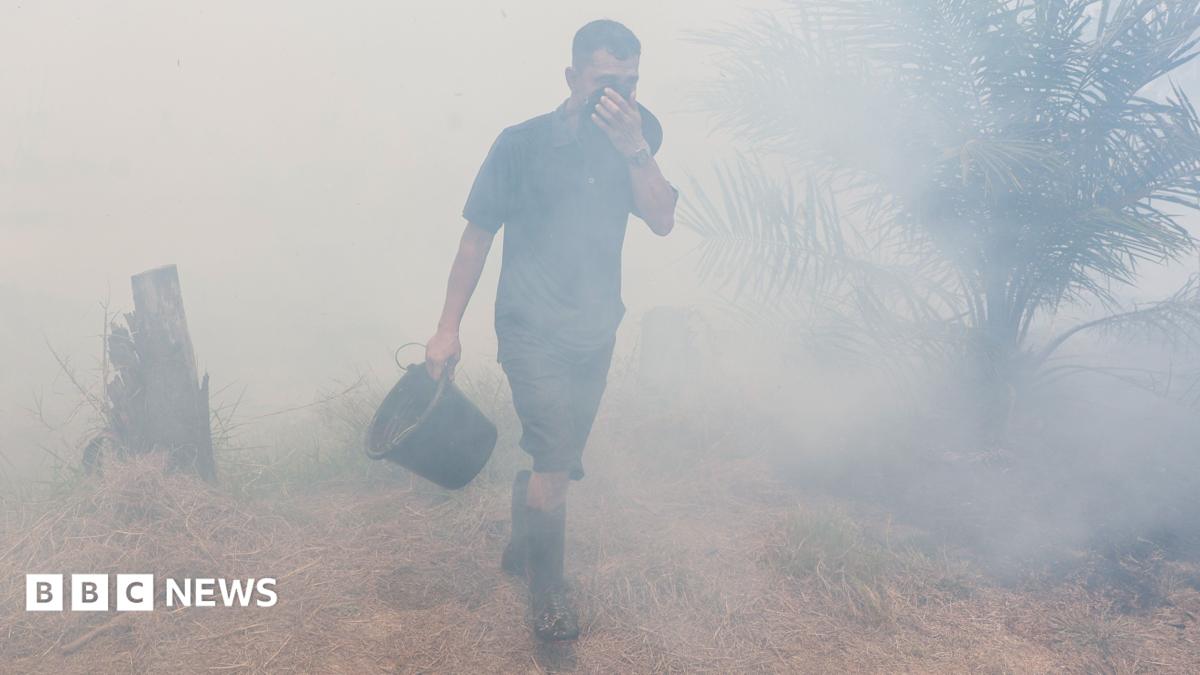 Toxic smog from Indonesia wildfires sickens 175,000 people