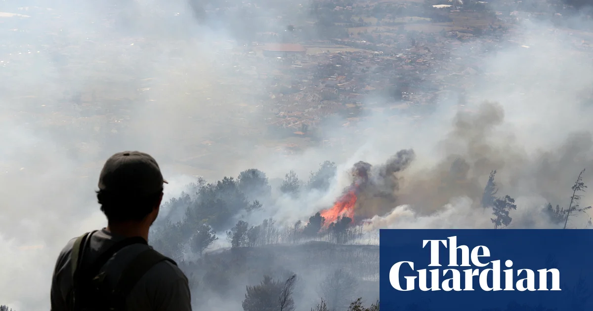 Колумбия объявила чрезвычайное положение из-за лесного пожара в Вилья-де-Лейва