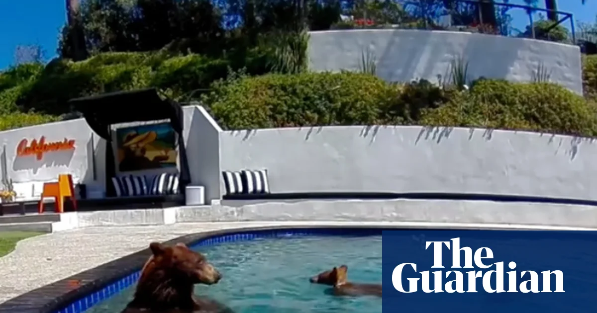 Bear-y good neighbors: humans and animals learn to live together in an expanding LA