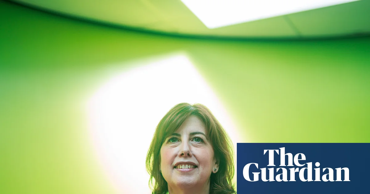 Labour must reunite progressive voters to win next election, says Lucy Powell