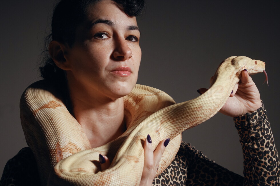 Snakes audition for opera at the Met; boa constrictor Princess gets the part
