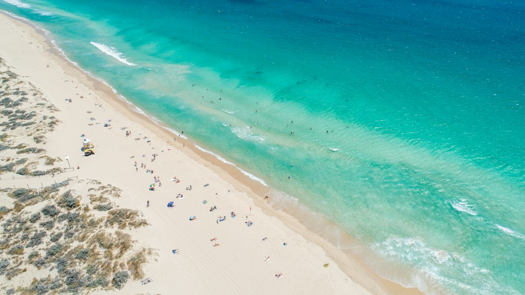 people on beach during daytime
