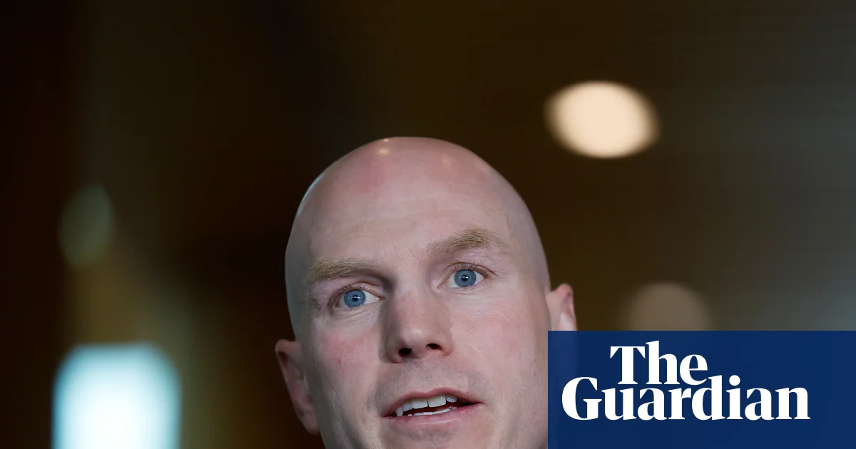 Pocock says Labor easing copyright protections for AI datacentre investment would throw creatives 'under the bus'