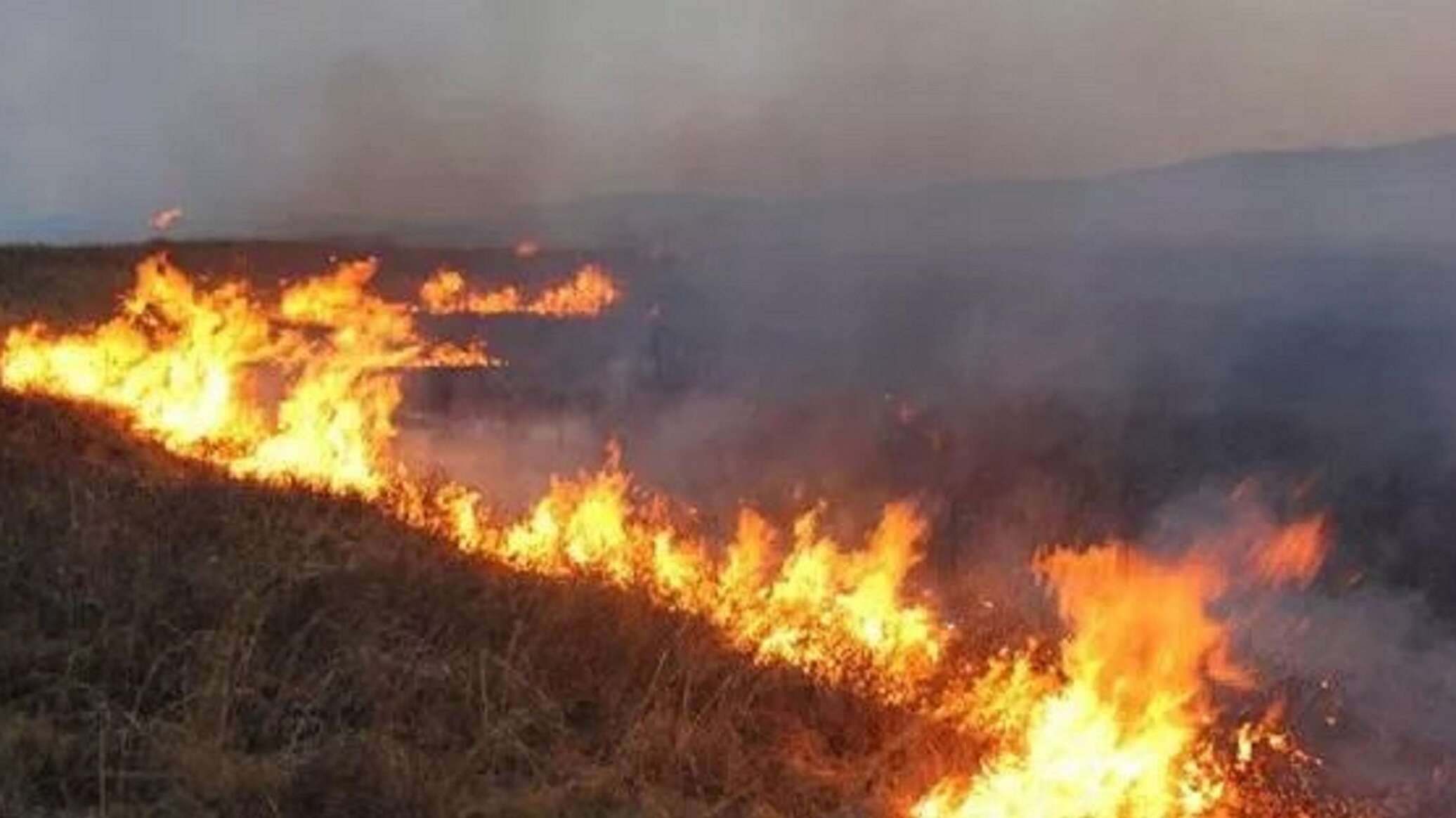 Steppe fire in Karaganda region: Emergency service warns drivers