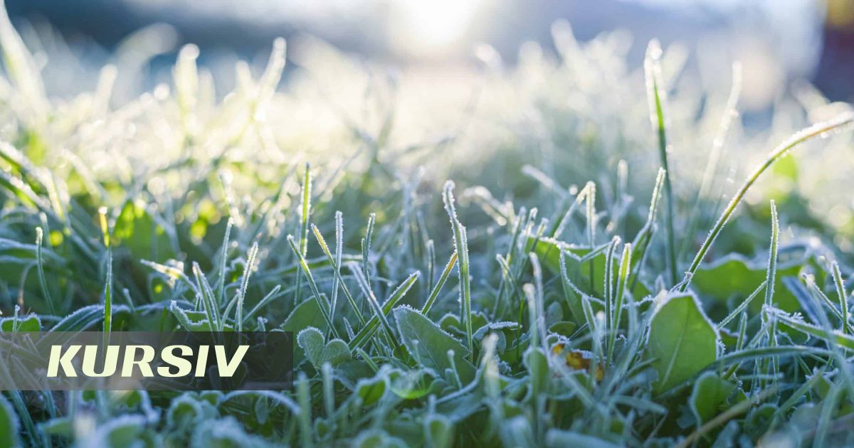 Қазақстанда 3 қыркүйекте ауа райы қауіпті: -5°C-қа дейін аяз және қатты жел