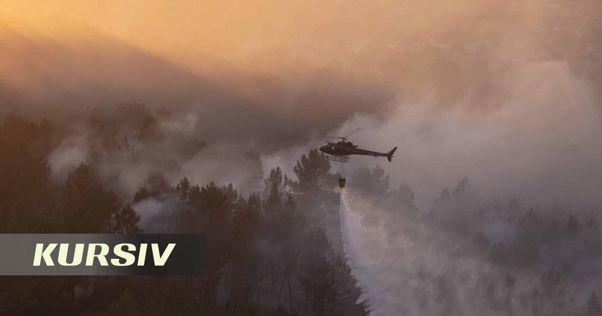 Қазақстанда бір тәулікте үш орман өрті тіркелді