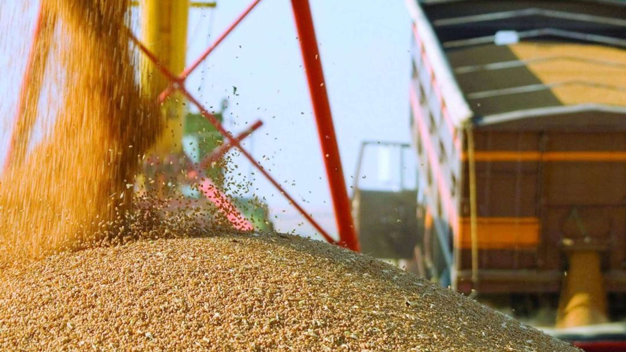61.6% of grain crops harvested in Kazakhstan